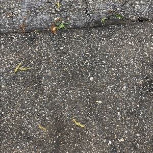 Meet your Posher, Davis